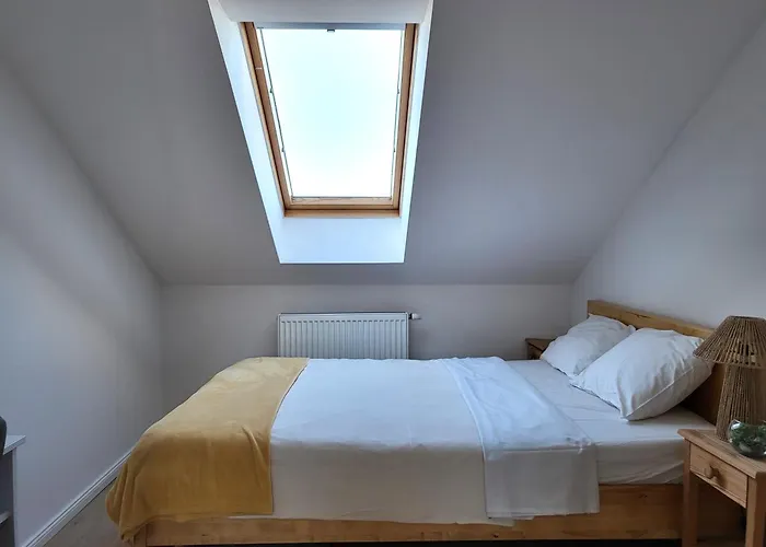 Mieszanie Bazantowa Z Miejscem W Hali Garazowej * Danzig